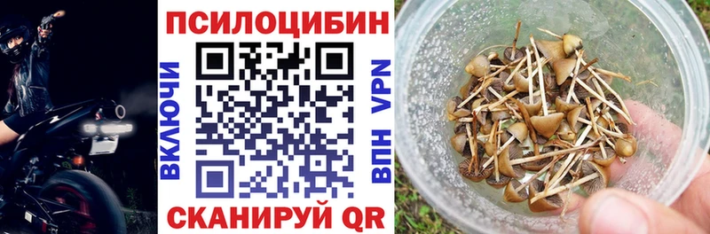 Галлюциногенные грибы прущие грибы Карачаевск